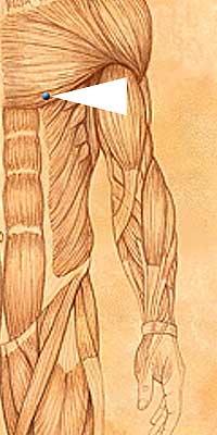 ST17 . Ru Zhong